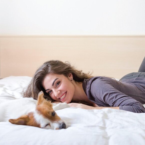 NEW Ienjoy Home Ultra Soft Duvet 3-Piece Cover Set Light Gray Full / Queen - Picture 4 of 8